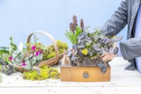 Woman placing Ranunculus in the drawer