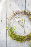Wreath containing narcissus, moss and birch twigs hanging from a wooden surface