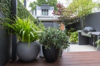 Two pots on an artificial timber deck in an inner city courtyard garden.