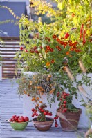 Raised bed planted with tomatoes, peppers, French marigold and basil on roof terrace.