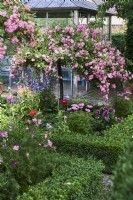 Rosa polyantha, rose tree, Baccata, box tree, Zinnia Elegans, Cosmea, Cosmos Bipinnatus, Salvia gurantica, sage, Verbena Bonariensis, roses high trunk surrounded by a hedge of boxwood in front of a garden house