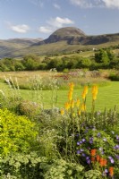 Kniphofia Rich 'Echoes' and view of munro An Teallach
