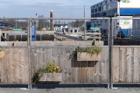To the rear of Amsterdam Centraal Station the barriers surrounding a construction site have been made to look less industrial with plant pots on specially designed fencing.