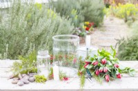 Glass containers, grevillia sprigs, moss, pebbles, tulips, watering can, candle, matches and plant snips laid out on a wooden surface