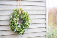 Portuguese laurel wreath hanging on a wooden wall