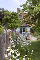 Back garden of country cottage with Leucanthemum vulgare, Arbutus unedo, Prununs avium with driftwood sculpture
