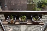 Tomato Solanum lycopersicum and Nigella seedlings growing in re-used mushroom packaging on a balcony. 
Upcycled shelf on a balcony. Made from the balconies old wooden decking planks after it they were replaced. 
