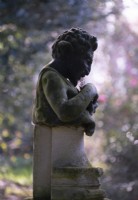 A lead sculpture of Satyr playing pipes surrounded by misty flowering Camellias at Thenford Arboretum