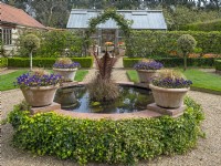Decorative raised pool with colourful containers planted with Pansies  East Ruston Old Vicarage, Norfolk. April