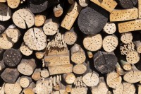 Almere The Netherlands 19th April 2022
Floriade Expo 2022. A ten-yearly botanical garden festival and exhibition, this year taking place in Almere, Flevoland. 
Wall made up of logs, bamboo with holes drilled in them to encourage insects. 