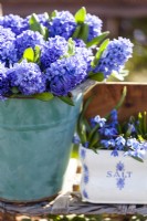 Detail of a still life outside in the spring garden. A bucket with the decorative and fragrant Hyacinthus orientalis 'Delft Blue', a porcelain container with Scilla siberica. Selective focus.