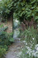 Gateway through to walled garden with Miscanthus sinensis, Melianthus major, Pennisetum villosum and Ficus growing against the wall