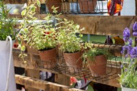 Terracotta pots on a wire hanging shelf.  The Ability Garden, RHS Hampton Court Palace Garden Festival 2021. Design: Tony Wagstaff, Ben Wincott.  Sponsors: Southend Borough Council, Sovereign Play Equipment