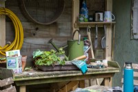 Potting bench with tray of strawberry plants, gardening gloves and green watering can, A Sanctuary from Covid, RHS Hampton Court Palace Garden Festival 2021