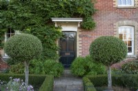 Standard Pittosporum surrounded by clipped box hedging, next to a path leading to front door with Euphorbia mellifera