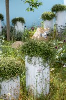 Tall white planters.   Garden of Solitude, RHS Hampton Court Palace Garden Festival 2021.  Design: Carlotta Montefoschi, Niccolo Cau, Ricardo Walker Campos.  Sponsor: Laboratorio S. Rocco