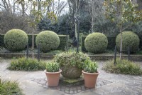 Courtyard with topiary balls at Winterbourne Botanic Garden