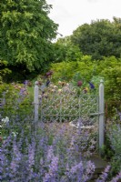 Metal decorative gate leading to a gravel path with bearded iris