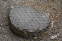 tree trunk stepping stone with chicken wire for anti slip protection