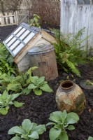 Coldframe and galvanised bin on allotment in winter, forcing pot in foreground