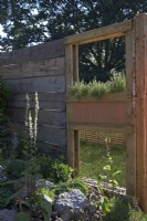 Punk Rockery. Designer: Amanda Grimes. Drought-tolerant garden using re-claimed building materials. The 'window' contains Thyme. Below is Verbascum chaixii 'Album' and Eryngium. RHS Hampton Court Palace Festival 2021