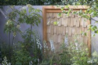 The Communication Garden. Designer: Amelia Bouquet. Screen of sweet chestnut behind a border with Delphinium 'Guardian White' and a Viburnum lantana tree. RHS Hampton Court Palace Festival 2021