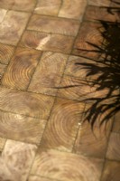 Plant shadows on a woodblock pathway with basket weave block pattern.