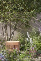 The Communication Garden. Designer: Amelia Bouquet. Wooden cube seat by border containing Corylus avellana tree and Delphinium 'Guardian White'.  RHS Hampton Court Palace Festival 2021