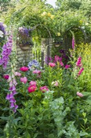 View of gateway in walled garden with foxgloves, peonies, roses and clematis. June