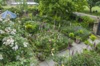 Aerial view of formal walled town garden with foxgloves, peonies, roses and clematis. Rosa 'Francis E. Lester' trained on wall of house. June