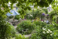 View of part of secluded dining area in town garden in summer with roses and herbaceous perennials including peonies, geraniums and foxgloves. June
