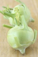 Brassica oleracea  Gongylodes Group  'Olivia'  Kohlrabi  Kohl rabi  F1 Hybrid  Picked and trimmed  August
