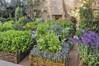 'Summer Solstice' Daylesford Organic. Design by del Buono Gazerwitz. Silver-Gilt RHS Chelsea Flower Show 2008. Organic agrarian potager garden.
Small wicker fenced beds with a large variety of herbs and vegetables for the kitchen. Cotswold stone wall with outdoor fireplace.