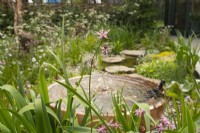 Fountain and stream in 'The Hide Garden' at the RHS Malvern Spring Festival 2022  - Designer - Emily Crowley-Wroe - Best in Show - Silver Gilt Medal