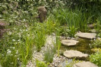 Stream and wildflowers in 'The Hide Garden' at the RHS Malvern Spring Festival 2022  - Designer - Emily Crowley-Wroe - Best in Show - Silver Gilt Medal