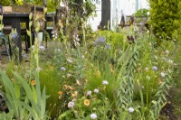 Mixed planting in the 'Affordable Gardens' Feature Garden at the RHS Malvern Spring Festival 2022 - Designer Jess Russell-Perry