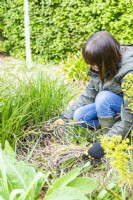 Woman pulling dead foliage from Kniphofia