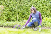 Woman spreading granular fertiliser on lawn