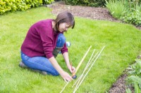 Woman marking the bamboo canes at 110cm