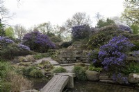 Bremen Germany Rhododendron Gardens. 
Garden feature, rockery with water and bridge with blue rhododendrons. 