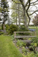 A rustic wooden bridge crosses a small stream in a woodland garden. Whitstone Farm. NGS Devon garden. Spring. 