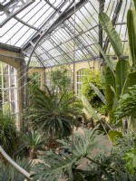 Glasshouse at Hortus Botanicus Botanic Garden Amsterdam Netherlands