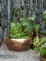 Containers in The Still Garden showing plants from Scotland, evergreen foliage with warm wood planters, copper planters and slate.