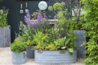 Metal containers are planted with herbs, angelica, purple honesty and borage.