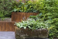 An old stone trough is planted with damp-loving hostas, ferns and brunneras.