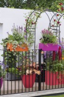 A balcony garden has railing planters planted with salvias, ivy, petunias and veronica.