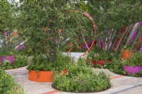 In a design for a miniature urban park, giant round planters are filled with native rowan and hawthorn trees, above layered textural foliage punctuated with floral accents.