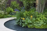 A path and rill curve round a bed set in the shade of a tree, and planted with hostas, Iris sibirica, primulas, ferns, smilacina and Podophyllum 'Spotty Dotty' and Selaginella kraussiana.