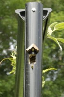 Small bird house built in reused black drainpipes with special water system.