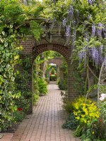 Brick path and archway Old Vicarage Garden, East Ruston, Norfolk